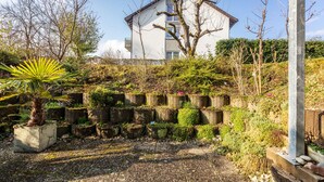 Een tuin met verschillende planten en een gebouw op de achtergrond.