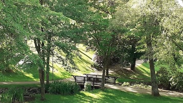 A park with a paved path, benches, and trees.