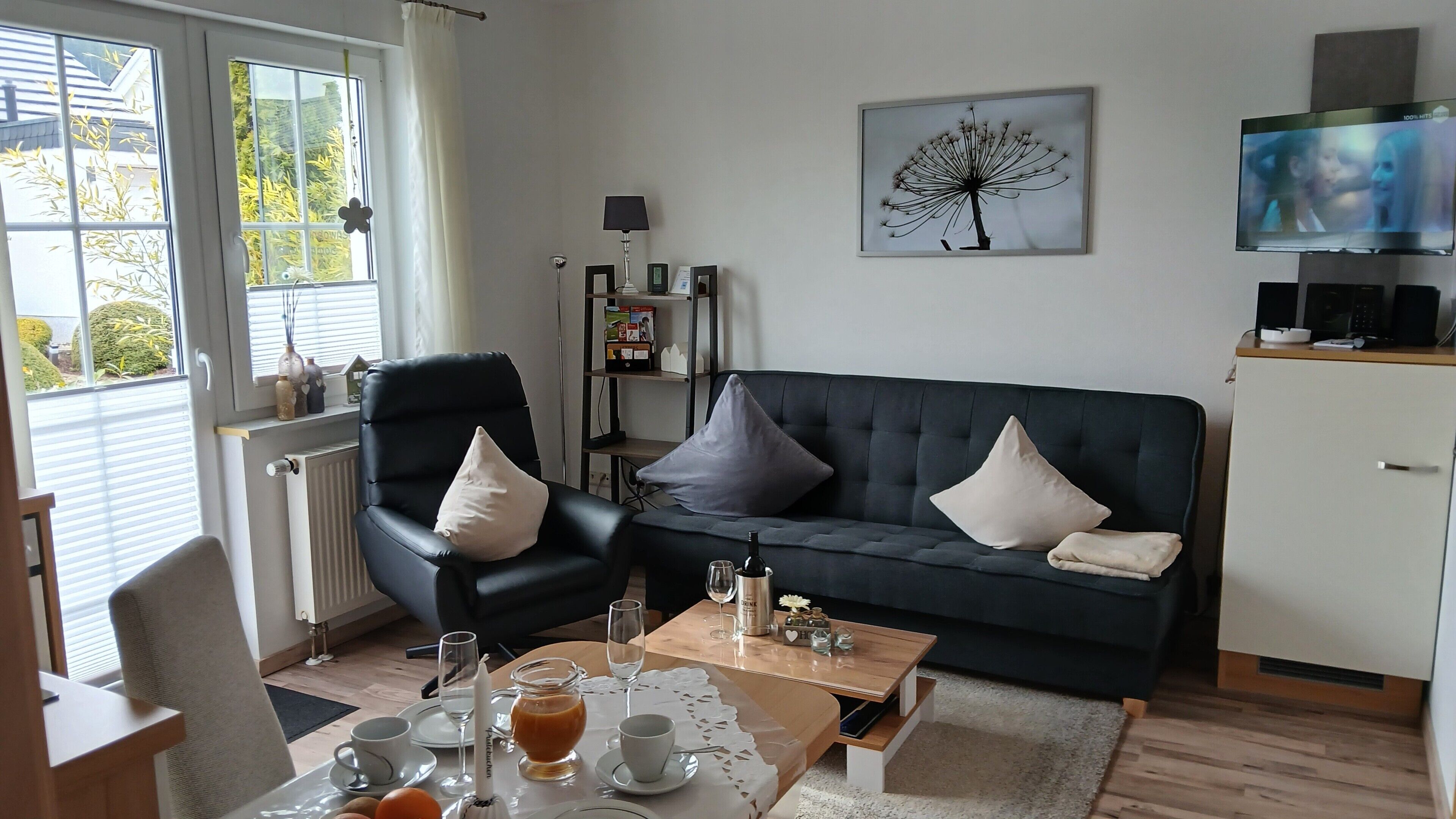 Fernseher, Stereoanlage