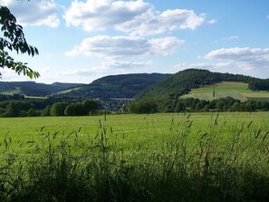 Un paisaje rural con un puente, campos y edificios a la distancia.