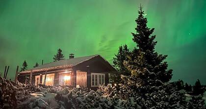 1 bedroom pet friendly home in Sjusjøen