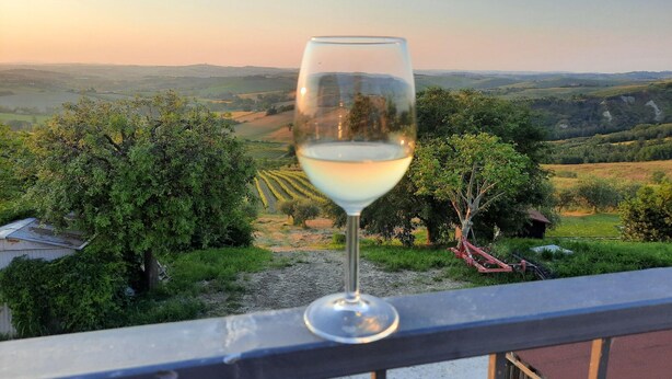 Ein Weinglas auf einem Balkon mit Blick auf einen Weinberg.