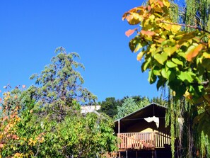Surrounded by lush greenery, this cabin offers a serene retreat with a balcony and simple, rustic design.