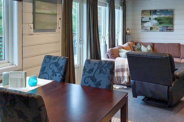 تلفزيون، مدفأة