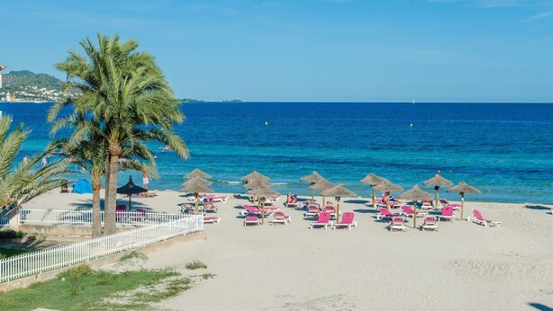 A beach with palm trees, beach umbrellas, and sun loungers.