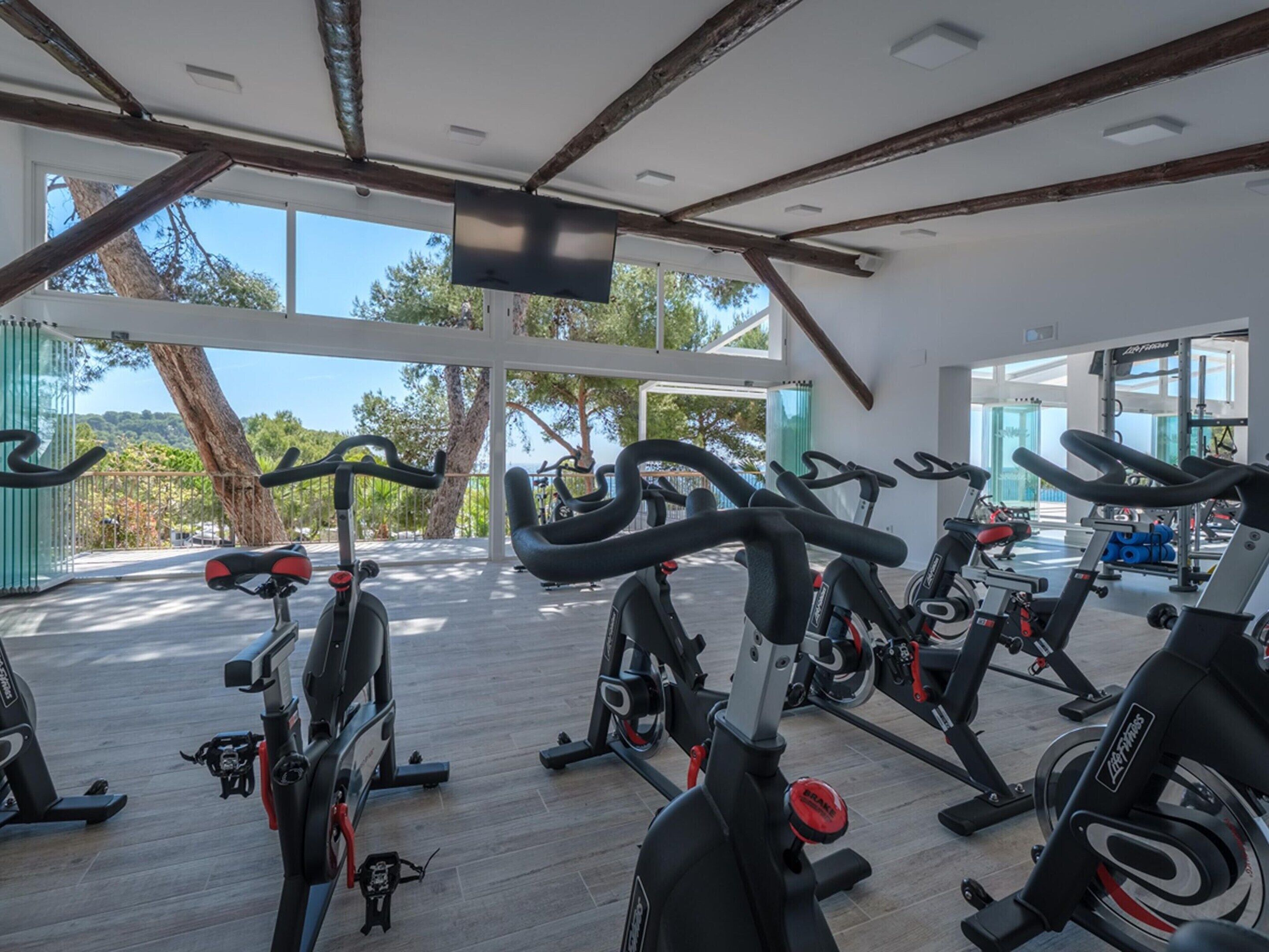 Una palestra con cyclette ed attrezzi per pesi, ampie finestre e vista sugli alberi.