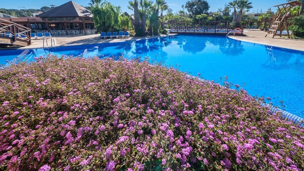 Una piscina sotto un cielo azzurro limpido, circondata da vegetazione rigogliosa e fiori viola.