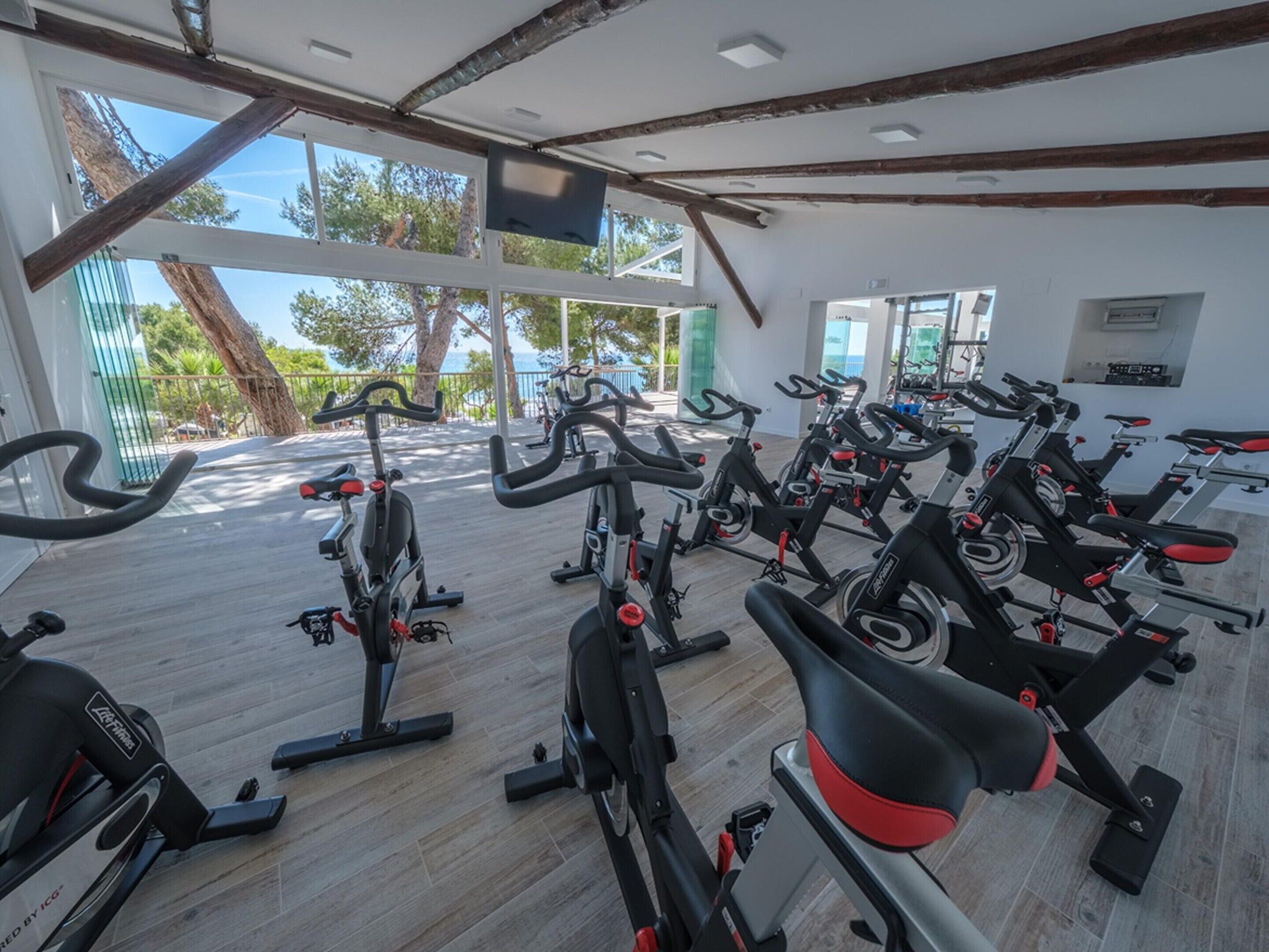 Bungalow | Servicios del alojamiento