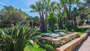 Un giardino curato con palme, un vialetto in pietra e diverse piante.