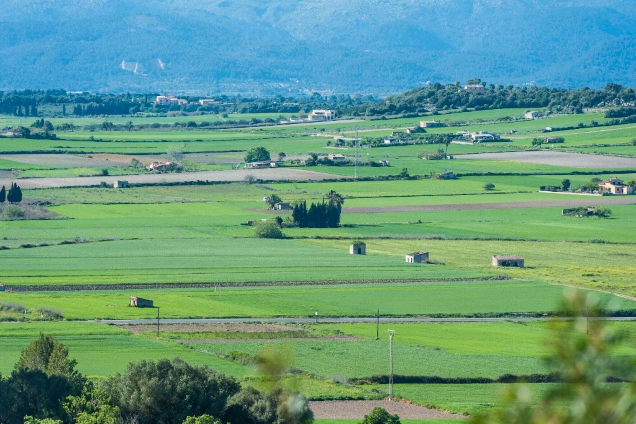 Un paisaje rural con campos, casas dispersas y una cadena montañosa al fondo.