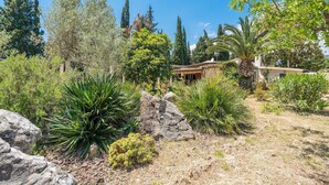 A garden with various plants and a stone structure.