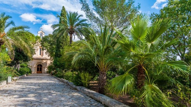 Un chemin de pierre mène à un bâtiment doté d’un clocher, entouré d’une végétation luxuriante et de palmiers.