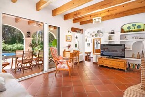 TV, fireplace, books