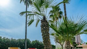 A sunny outdoor area with palm trees, a pool table, and lounge chairs.