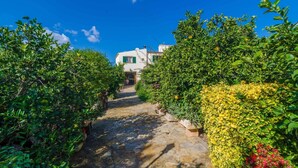 A stone pathway leading to a white building with green shutters, surrounded by lush greenery and flowering plants.