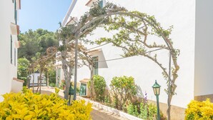 A narrow street with a white building, a green lamp post, and yellow flowering bushes.