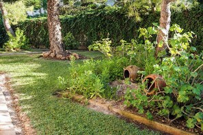 Parco della struttura