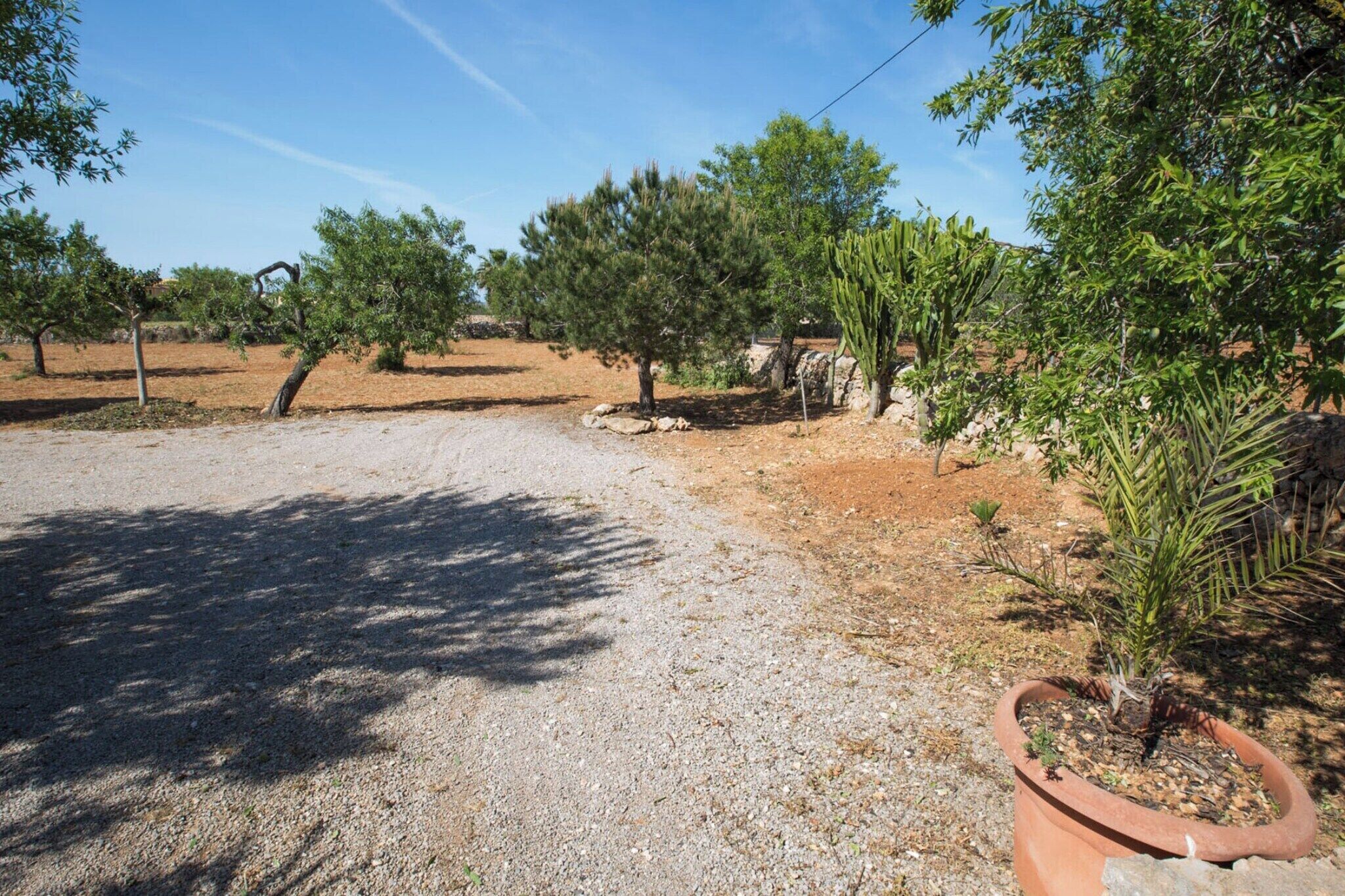 A gravel driveway leading to a house with a garden area.