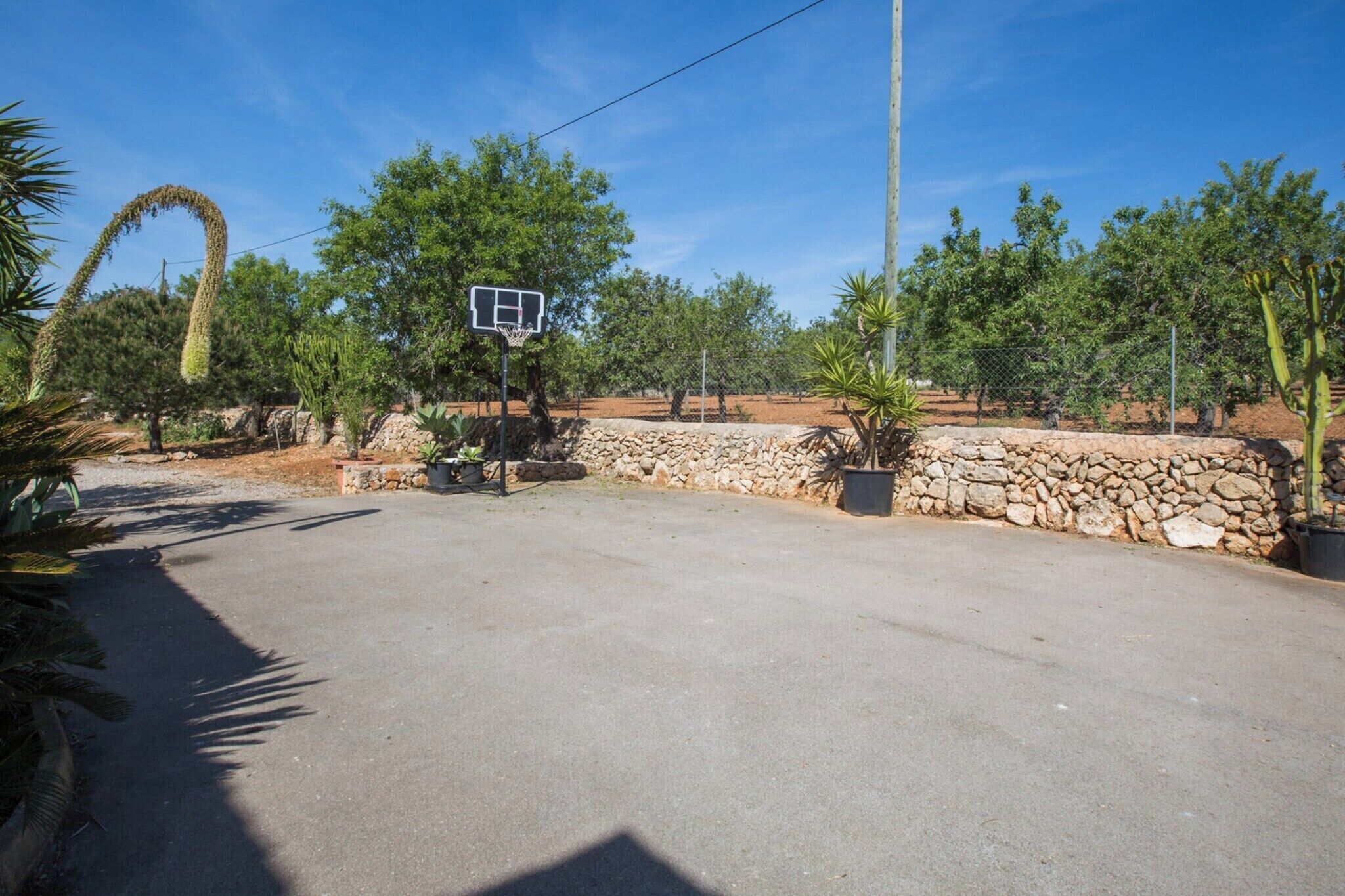 An outdoor basketball court surrounded by trees and a stone wall.