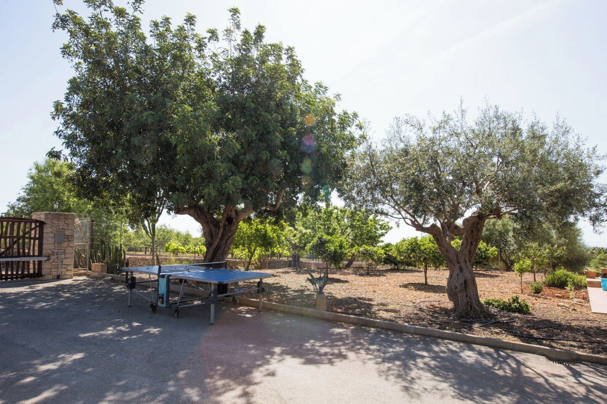 An outdoor area with a ping pong table, trees, and a stone wall.