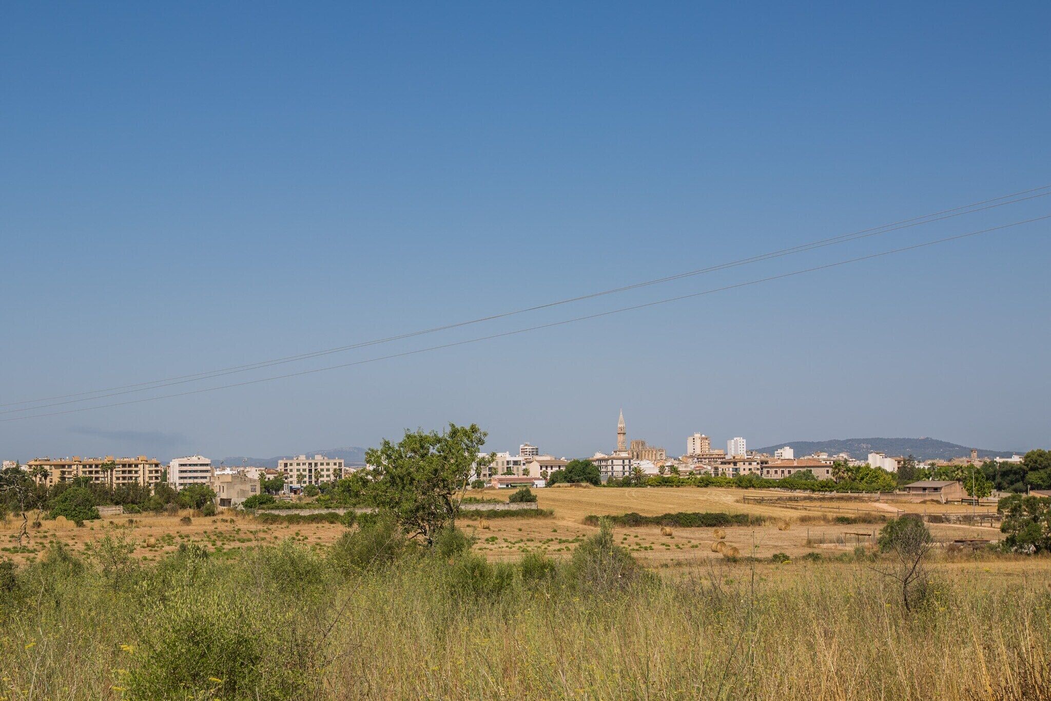 A cityscape with buildings, a mosque, and a hill in the background.