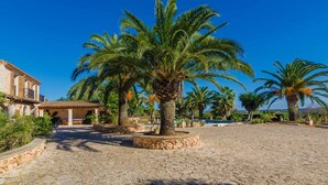 Un cortile con palme, pavimento in pietra e un edificio con tetto in tegole.