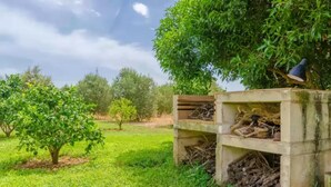 Estructura de concreto con un comedero para pájaros y troncos, rodeada de pasto verde y árboles.