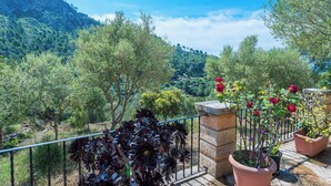 Un balcón con macetas y flores, con vista a un paisaje montañoso.
