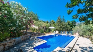 Una piscina rectangular con borde de piedra, rodeada de exuberante follaje y árboles.