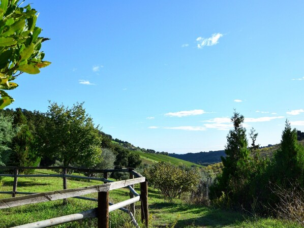 Garden - Luxury Glamping Near Adriatic Beaches (Lapedona)