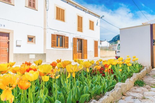 Vila Ca Shermano - Apartment Mit Gratis Wifi