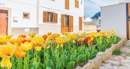 Vila Ca Shermano - Apartment Mit Gratis Wifi