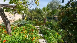 A garden with a variety of plants and flowers, a stone pathway, and a tree with yellow fruits.