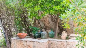 Un entorno rústico al aire libre con un muro de piedra y diversos jarrones y macetas de cerámica.