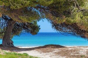 Am Strand