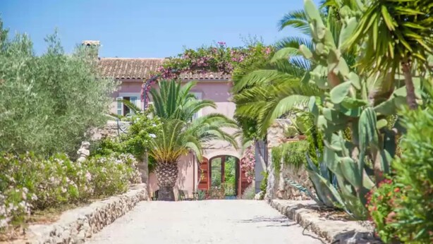A pathway leading to a building with a tiled roof, surrounded by cacti and flowering plants. - Can Pina - Eco Redonda 1 - - Apartment In Costitx (Costitx, Illes Balears)