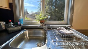 Una cocina con un lavamanos de acero inoxidable, un escurreplatos y una planta en maceta junto a la ventana.