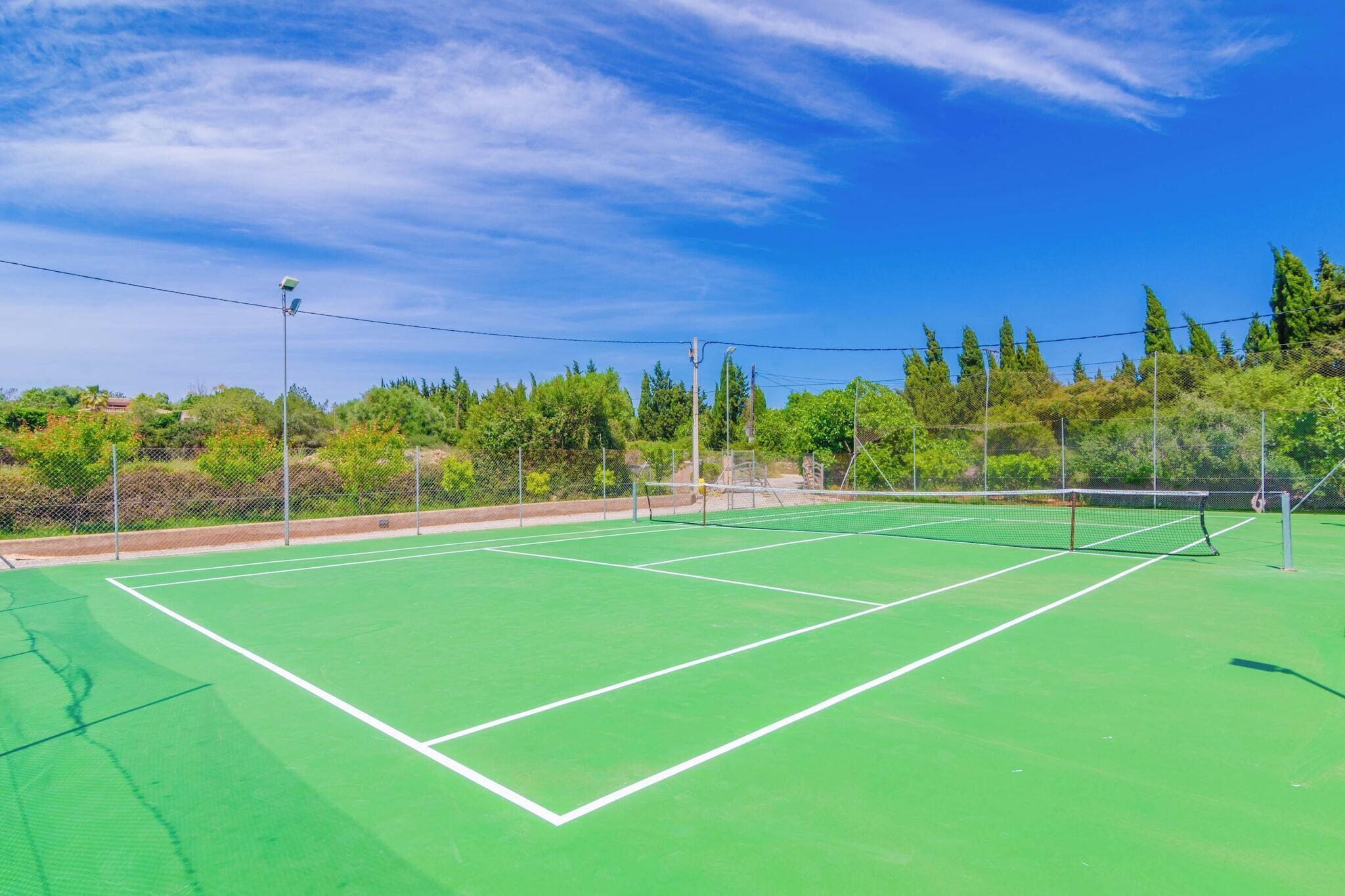 Un court de tennis doté d’une surface verte, entouré d’arbres et surplombé d’un ciel dégagé.