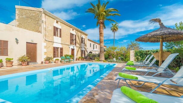 A swimming pool with lounge chairs and a palm tree. - Can Salvador - Villa With Private Pool In Moscari (Moscari (selva), Illes Balears)