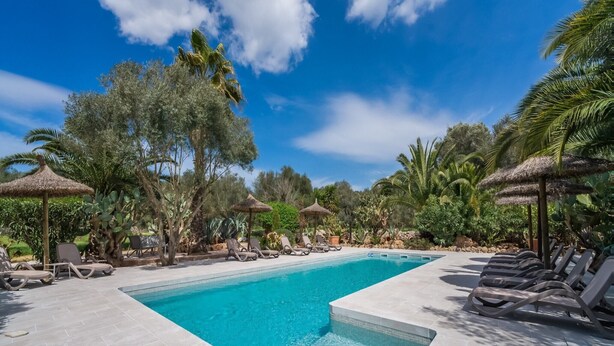 A swimming pool with lounge chairs and umbrellas, surrounded by tropical vegetation.