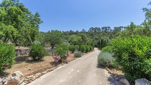A paved road flanked by various green shrubs and trees, leading towards a hilly landscape.