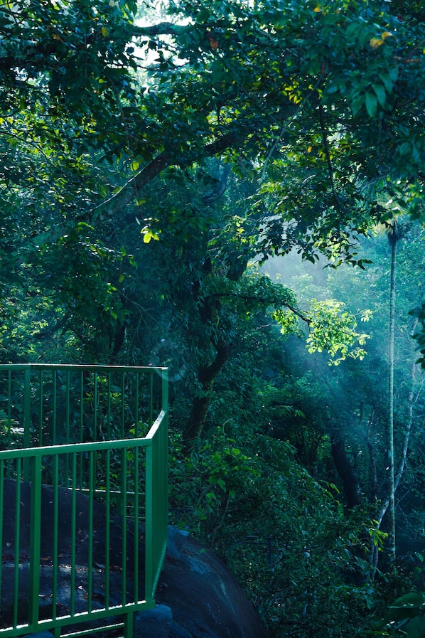 Exterior - Space Rock Resort (Vythiri)