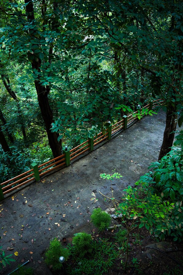 Un área boscosa con un sendero pavimentado y barandas de madera.