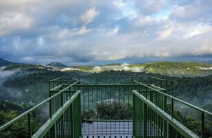 Vista desde la propiedad