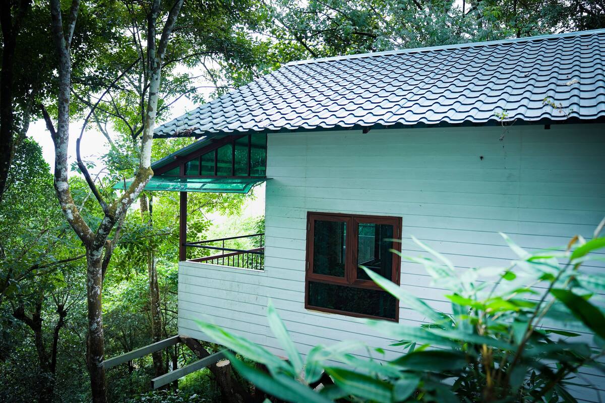A white wooden cabin with a tiled roof, surrounded by dense forest.