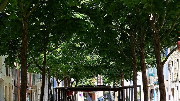 An outdoor cafe with wicker tables and chairs, surrounded by trees and buildings. - Beautiful renovated village house in the heart of Provence. (Graveson)
