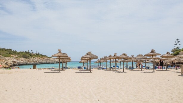 Ein Strand mit Reetdachschirmen und Liegestühlen.
