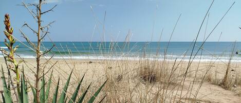 Plage à proximité