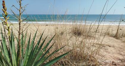le Clos de l'Etang ein idyllischer Rahmen für einen unvergesslichen Aufenthalt
