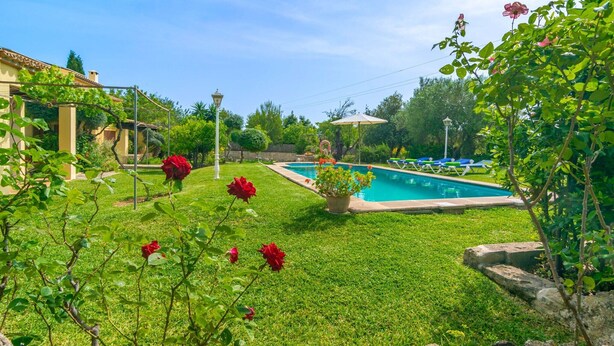 A swimming pool surrounded by a well-maintained lawn and flowering plants.